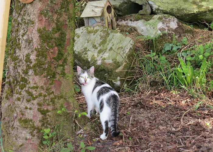 Lägenhet Mizen View *